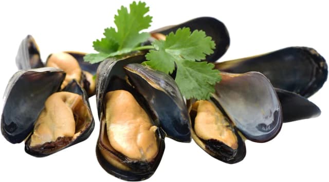 DAGNJE