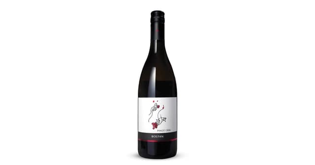 Vino Pinot Crni Bolfan