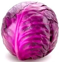 KUPUS CRVENI -KG