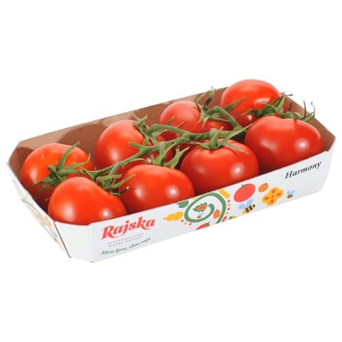 Rajčica Harmony
