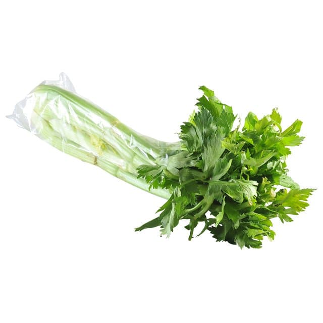 CELER LIST KOM