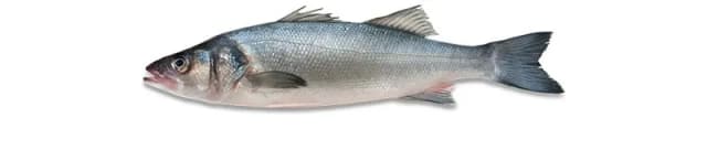 BRANCIN 160-250 G, OČIŠĆENI
