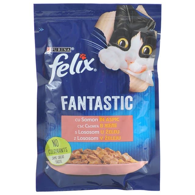 Felix Fantastic Losos