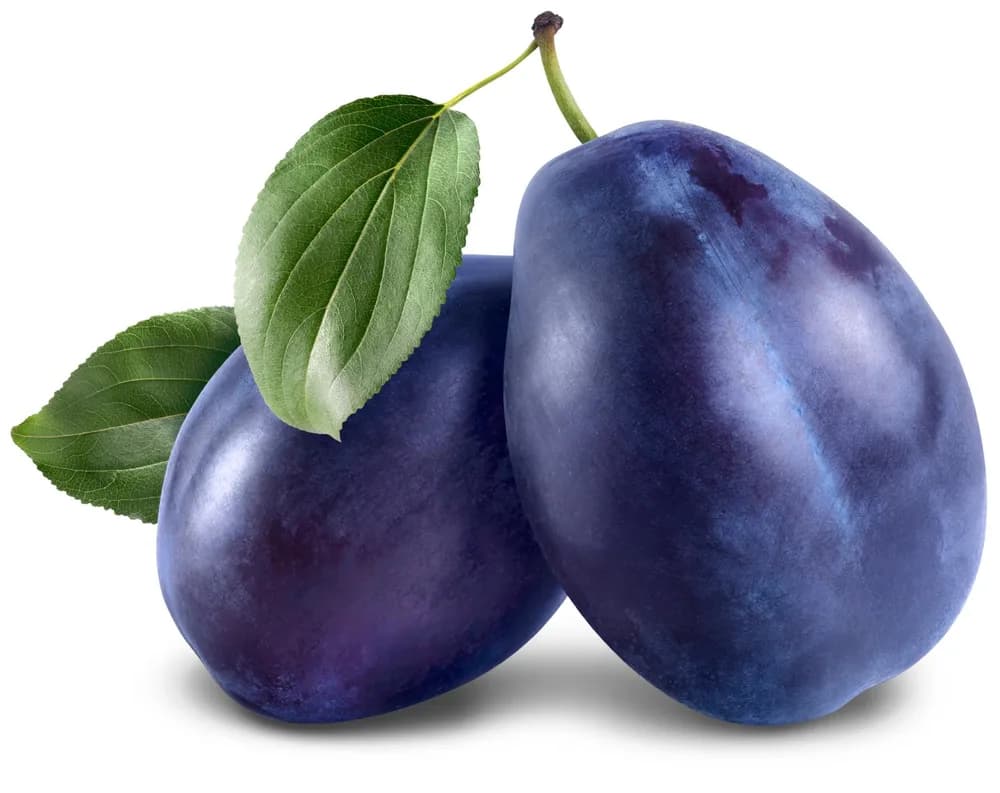 ŠLJIVE CRVENE rfz
