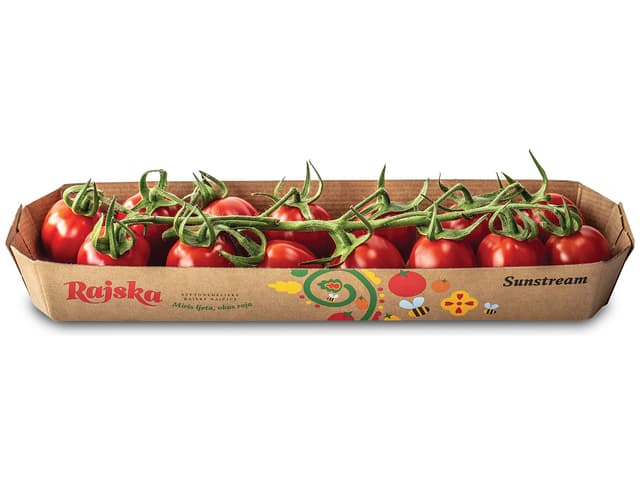 Rajčica Cherry Sunstream