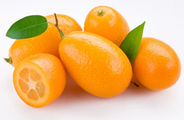METRO - CUMQUAT - KG KL II