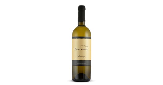 Vino Malvazija