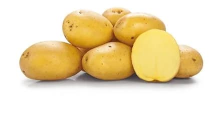 2,5KG KRUMPIR ZA KUHANJE