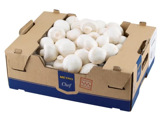3KG MC ŠAMPINJONI SVJEŽI KT