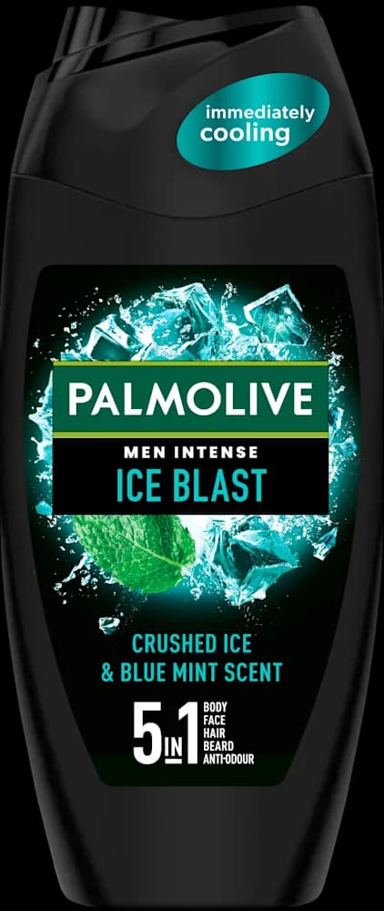 GEL TUŠ PALM MEN COOL SPLASH 500 ml