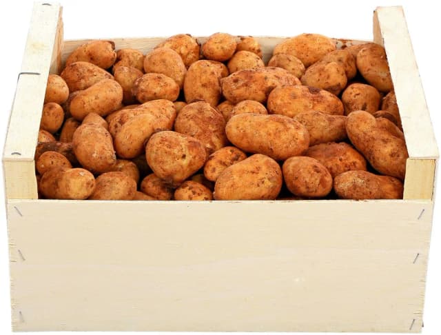 KRUMPIR MLADI - KG