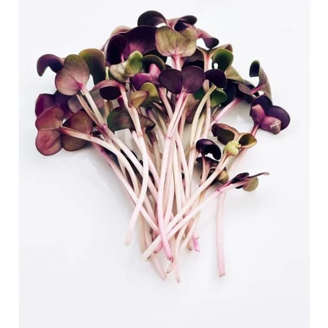 50G MICROGREENS ROTKVICA LJUB.