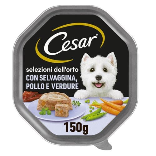 Cesar Junior Puretina