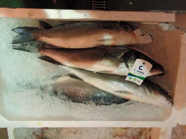 Bio Brancin 300-600g