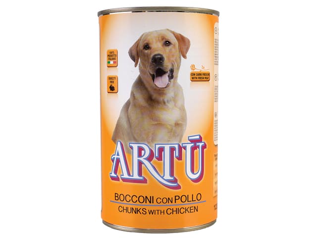 ARTU MP 1230 g PILETINA