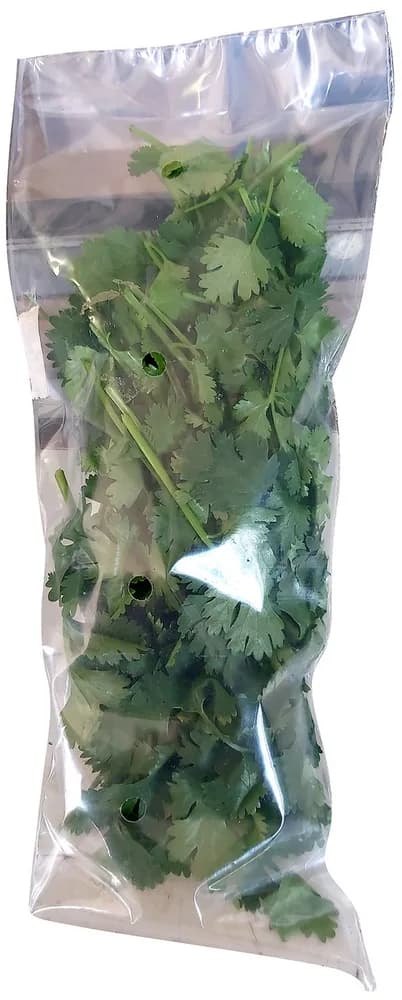 50G KORIJANDER LIST
