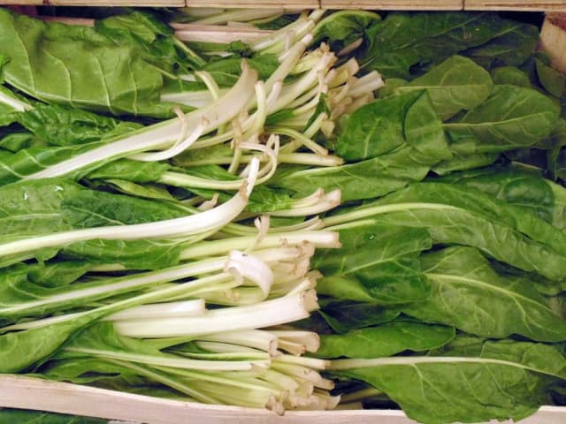 BLITVA-KG