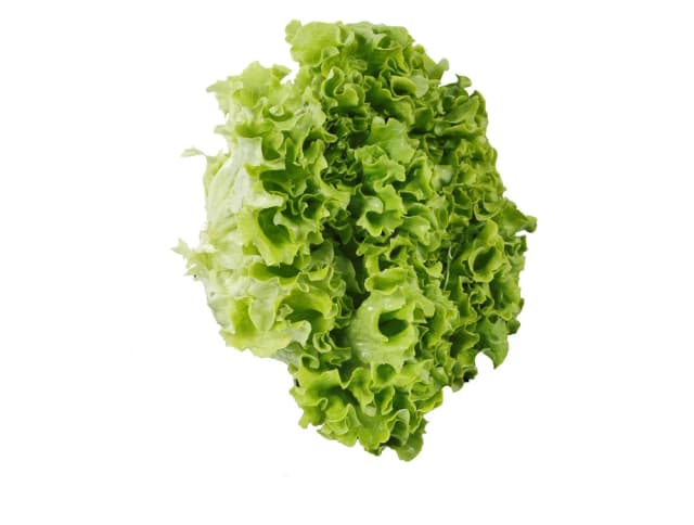 METRO-SALATA KRISTAL KG KL II