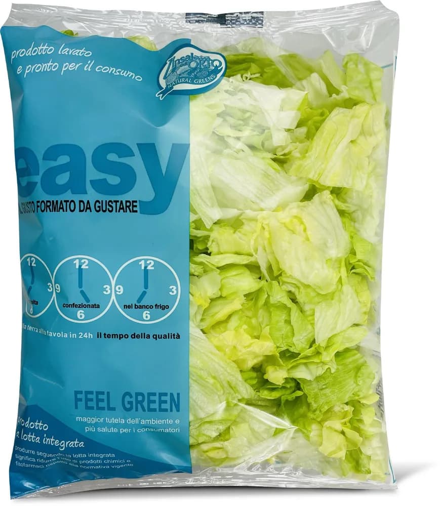 SALATA EISBERG 250g
