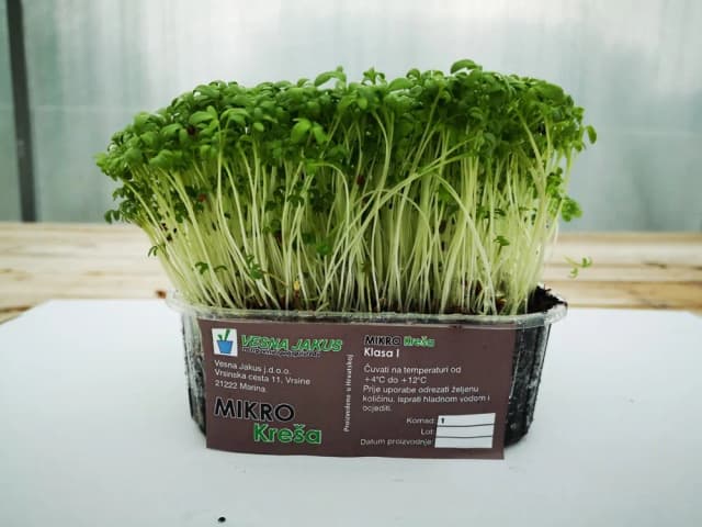 300G MIKROZELENJE KREŠA