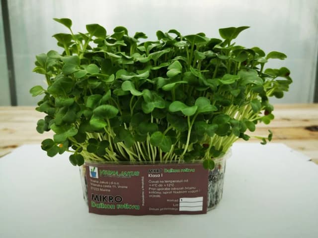 300G MIKROZELE. DAIKON ROTKVA