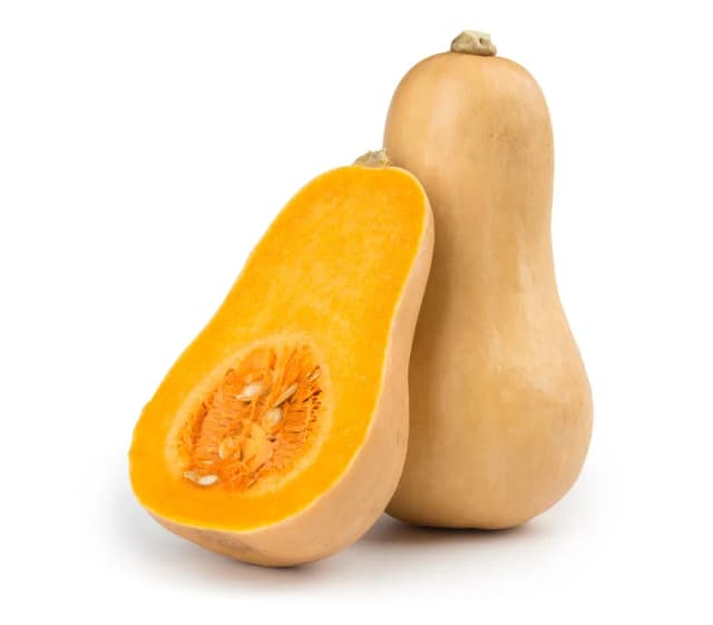 TIKVA BUTERNUT KG