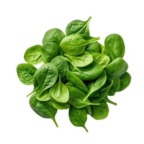 KBio.Baby špinat 100g