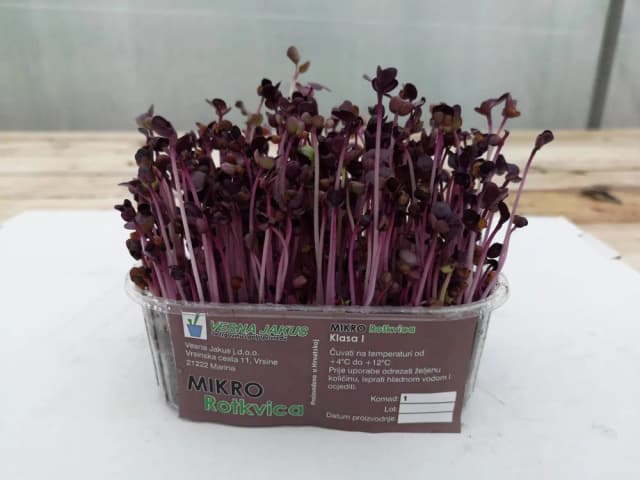 300G MIKROZELENJE ROTKVICA