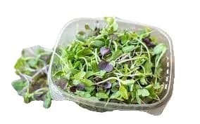 30G MICROGREENS MIX