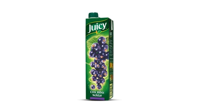 Juicy nektar crni ribiz