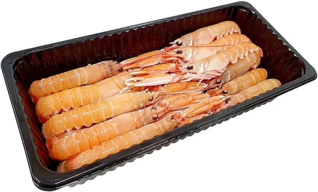 700G SEACON ŠKAMPI 17-20