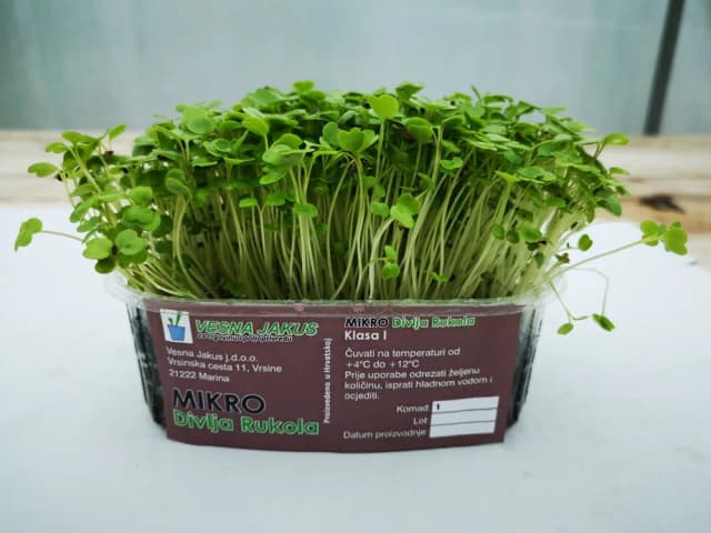 300G MIKROZELENJE DIV. RUKOLA