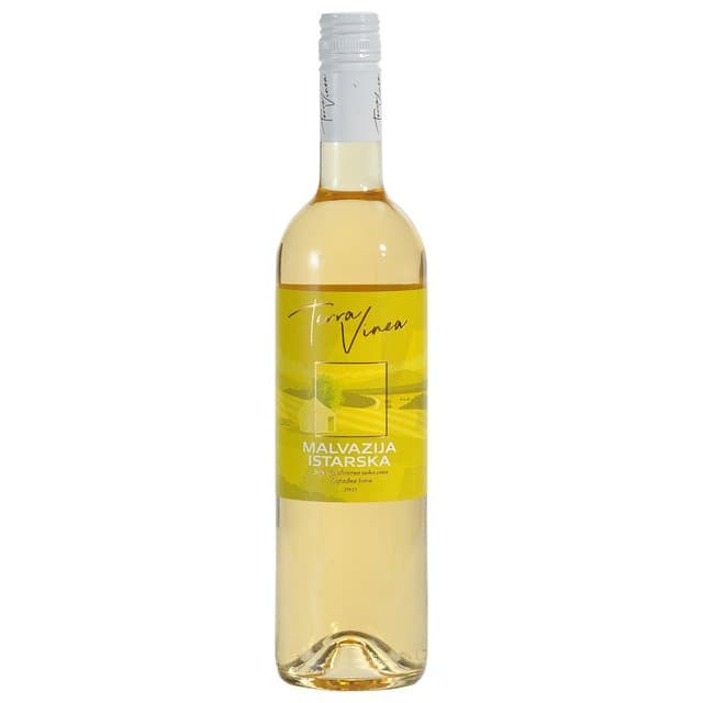 VINO MALVAZIJA TERRA VINEA 0.75L