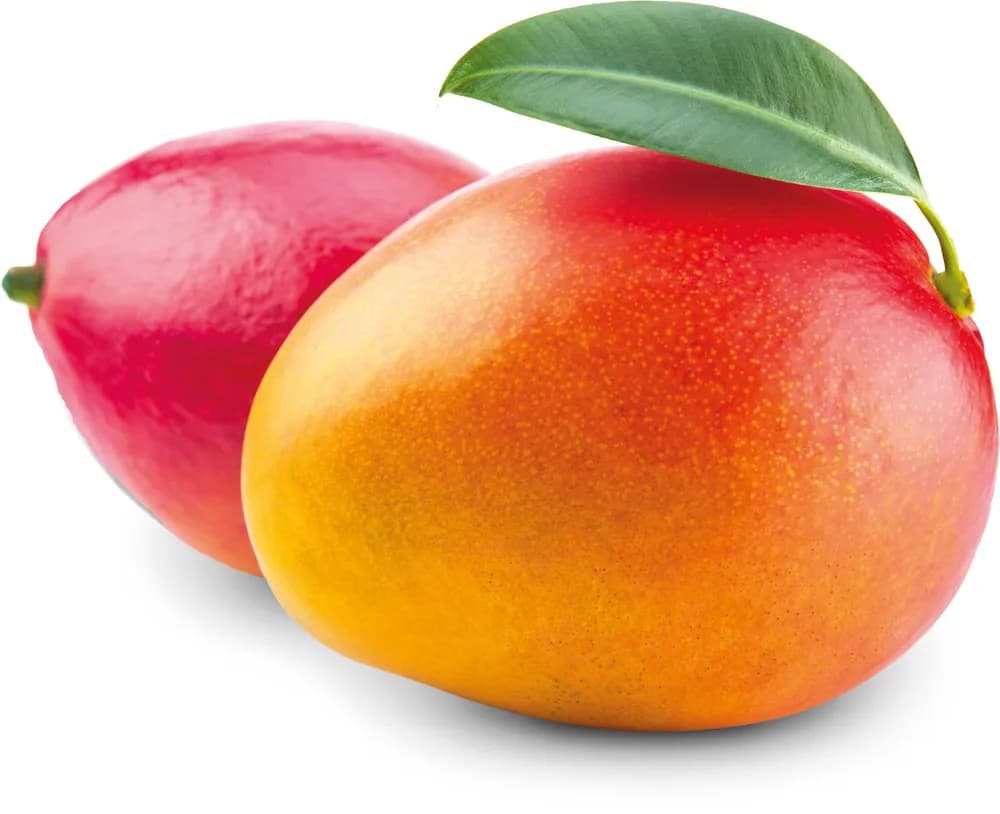 MANGO kom