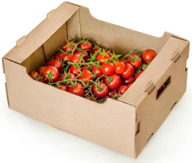 RAJČICA CHERRY - KG KL II