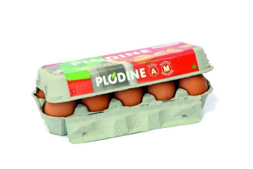 JAJA PLODINE PODNI L 10/1