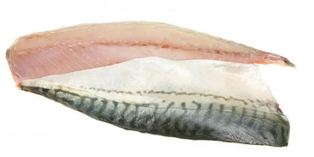 SKUŠA FILET