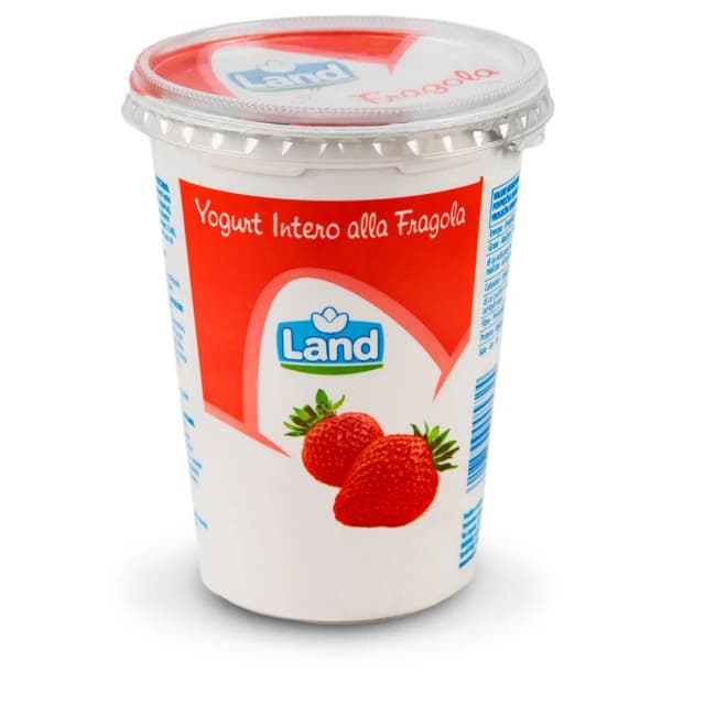 JOGURT JAGODA 500g