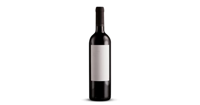 Pošip Majstor Stina Suho Vino 2022