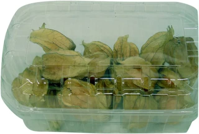 100G PHYSALIS - PD