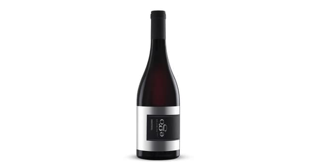 *TRIBIDRAG EGO 0.75L 2021 SUHO