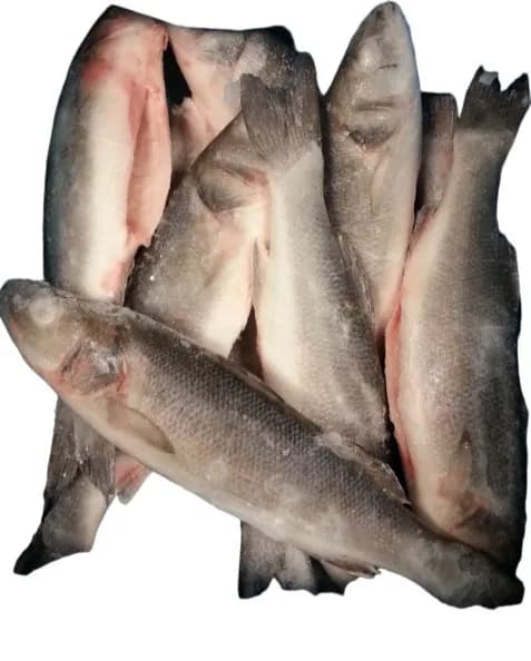 4KG BRANCIN OČIŠĆENI 200-300G