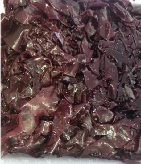 ALGE DULSE