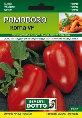 Rajčica roma 500g