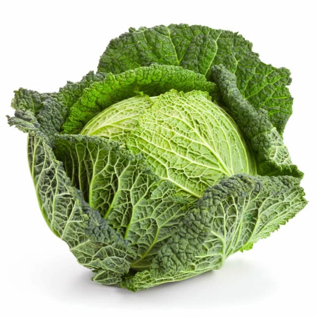 KELJ MLADI - KG