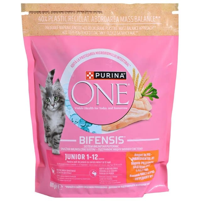 One Junior Piletina