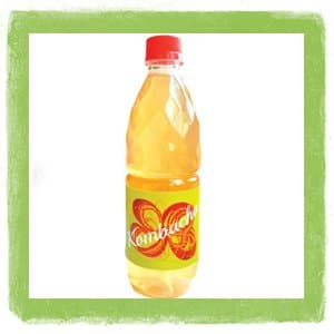 ELECTA Kombucha osvj.napitak 0,55l