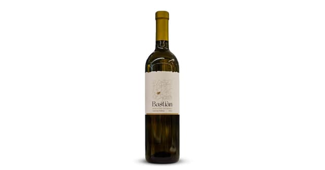 N-*MALVAZIJA BASTIAN 0.75L ZOI SUHO 2024 -6/1-
