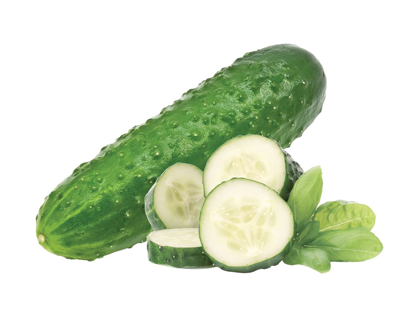 KRASTAVCI