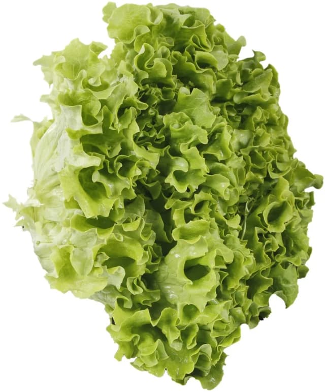 SALATA KRISTAL - KG KL II